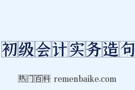 初级会计实务造句是什么意思的图片